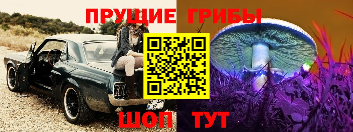 Киржач  Галлюциногенные грибы мицелий  дарнет шоп  Вход с VPN 